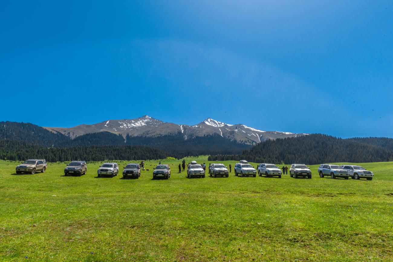 Fleet of tour SUVs lined up on a lush green meadow with snow-capped Kyrgyz mountains and blue sky behind.