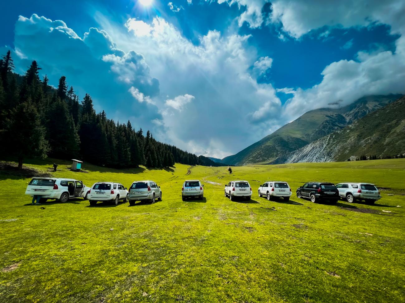 SUVs parked on a vibrant green alpine meadow bordered by pine forests and mountains under dramatic clouds.