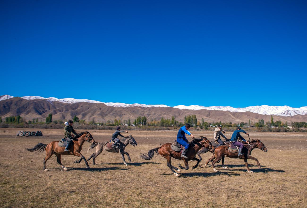 Kyrgyz horsemen gallop across a dry plain playing a traditional equestrian game with snowy mountains behind them.