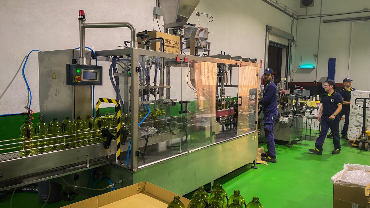 Workers operating an olive oil bottling production line at a factory visit during the Andalucia motorcycle tour.